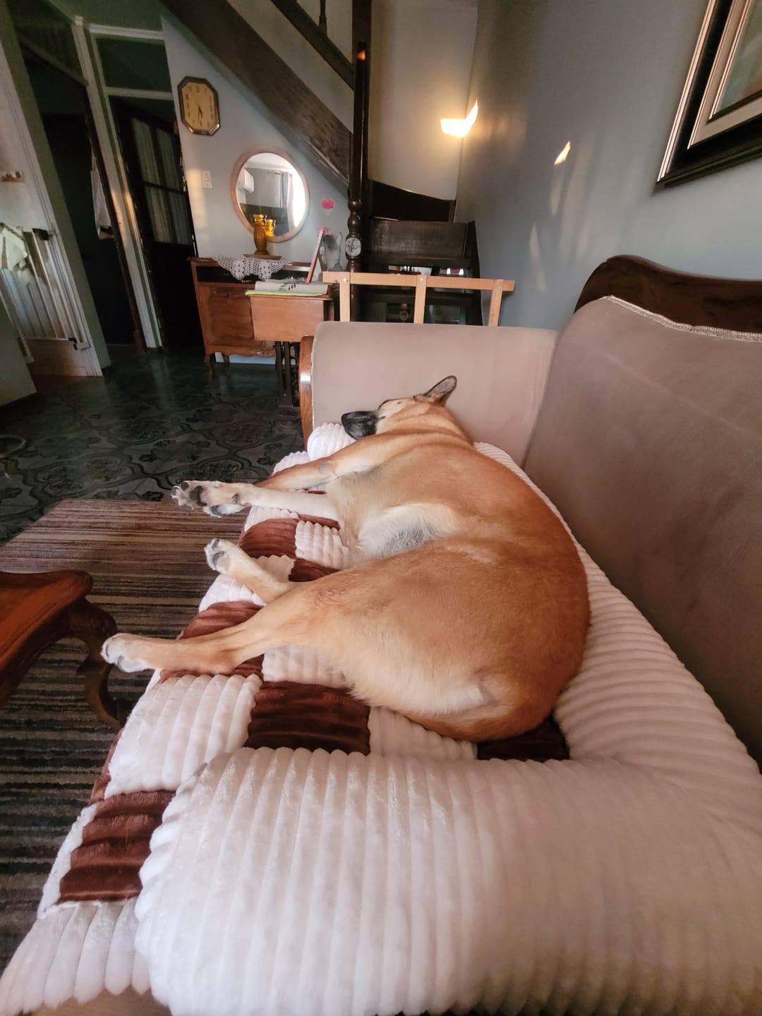 Customer photo review of Camita de Sillón Signature — Su lugar oficial en el sillón