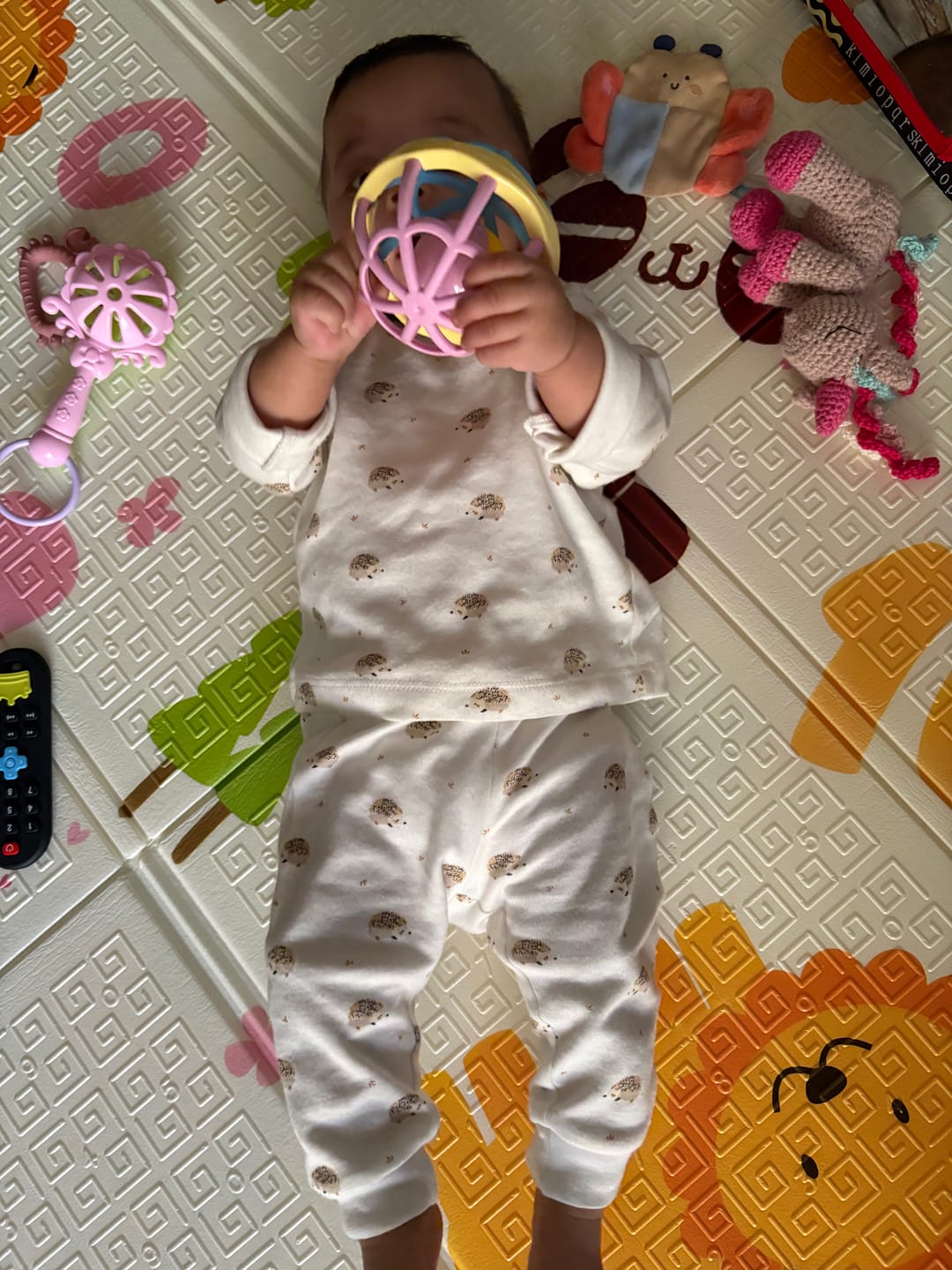 Customer photo review of Everyday Long Sleeve Set - Hedgehog Meadow