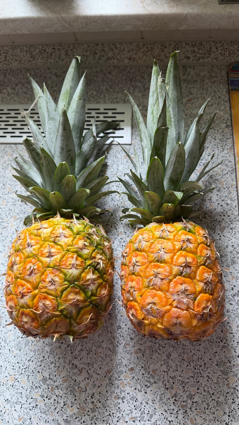 Customer photo review of Ananas Flugware reifgeerntet Aktionspreis %