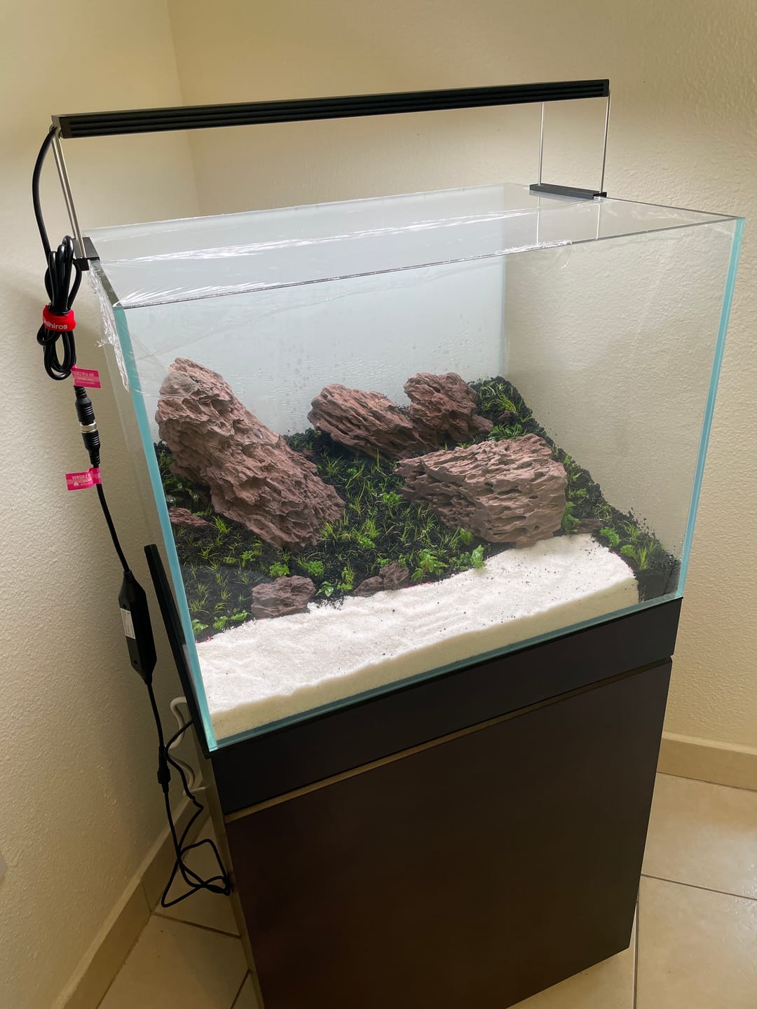 Customer photo review of Chihiros WRGB II Pro LED Light