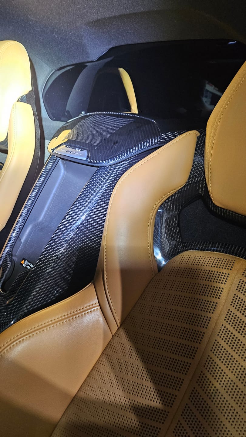 Customer photo review of C8 Corvette Real Carbon Fiber Waterfall Speaker Trim Cover with Corvette Logo | Interior pgrade (2020–2026)