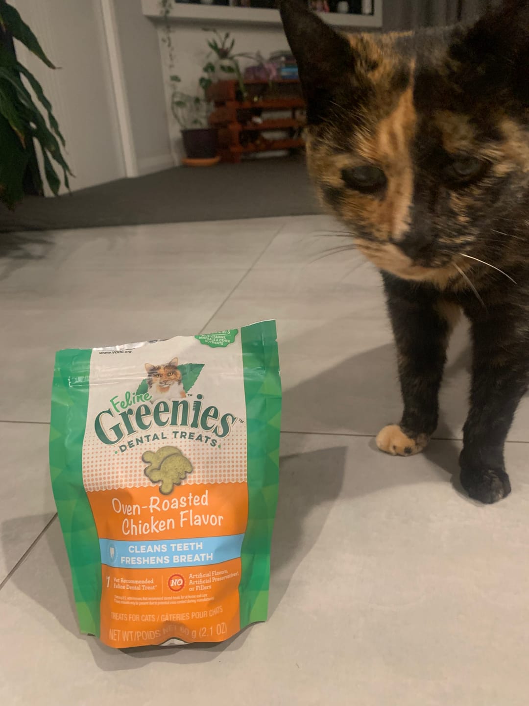 Customer photo review of Greenies Feline Dental Treats - Oven Roasted Chicken 60g