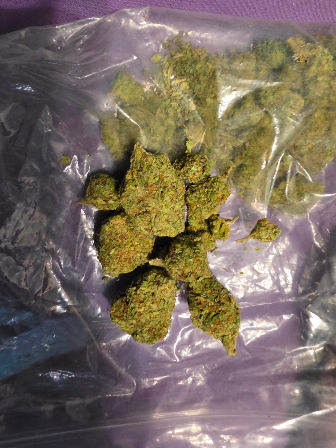 Customer photo review of Berry Gelato - 28 Grams - Indica