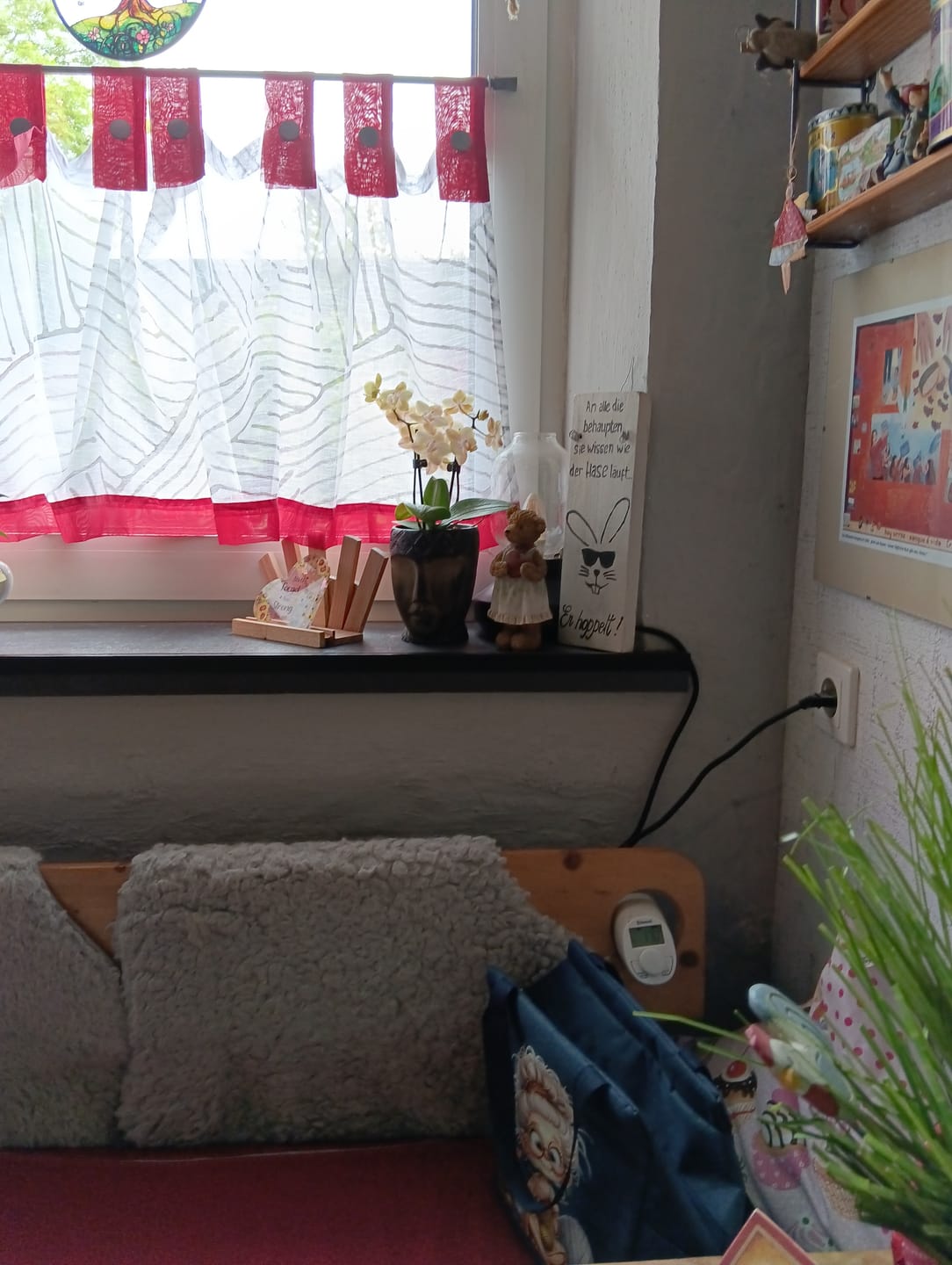 Customer photo review of Duftorchidee Table Dance Elemental mit gelben Blüten mit 2 Rispen