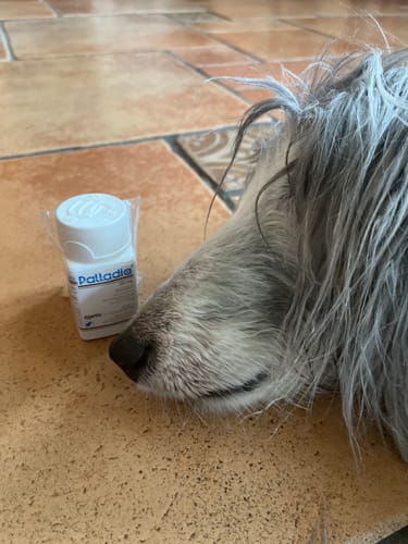 Customer photo review of Palladia® 50 mg