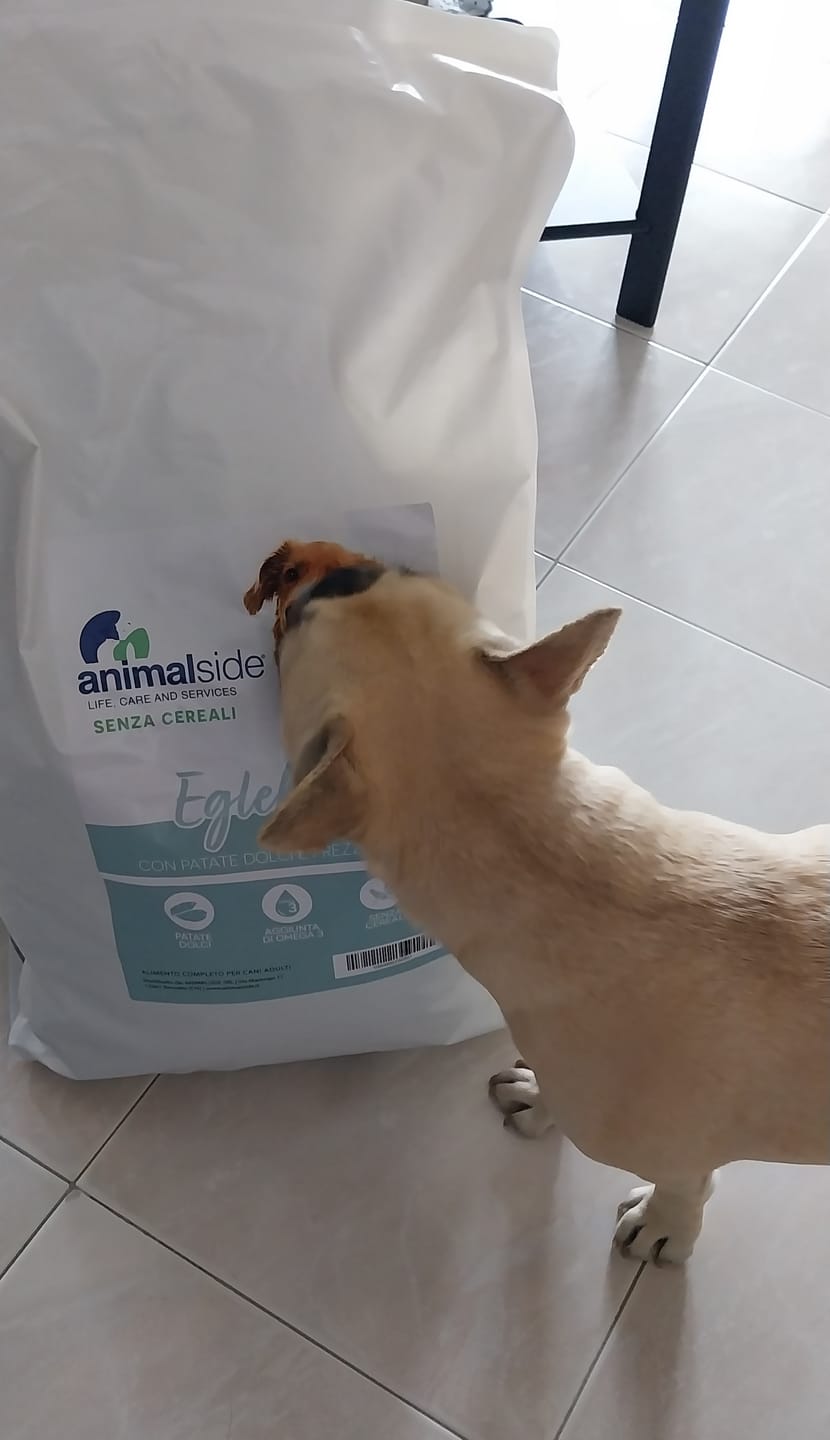 Customer photo review of Linea Grain Free - Eglefino, Patate Dolci e Prezzemolo - Cane Adulto