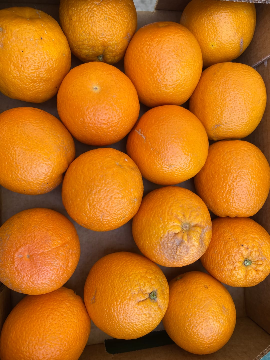 Customer photo review of Orangen Lane Late Bio von Apostolis Kreta 4kg Box