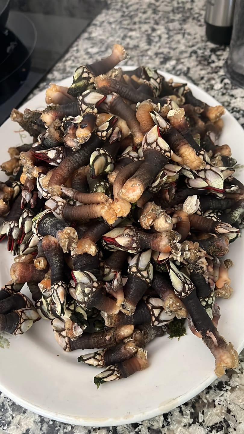 Customer photo review of Navajas