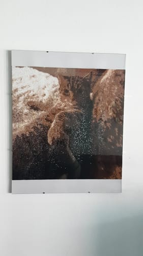 Kundenbewertung mit Foto zu Diamond Painting eigenes Bild
