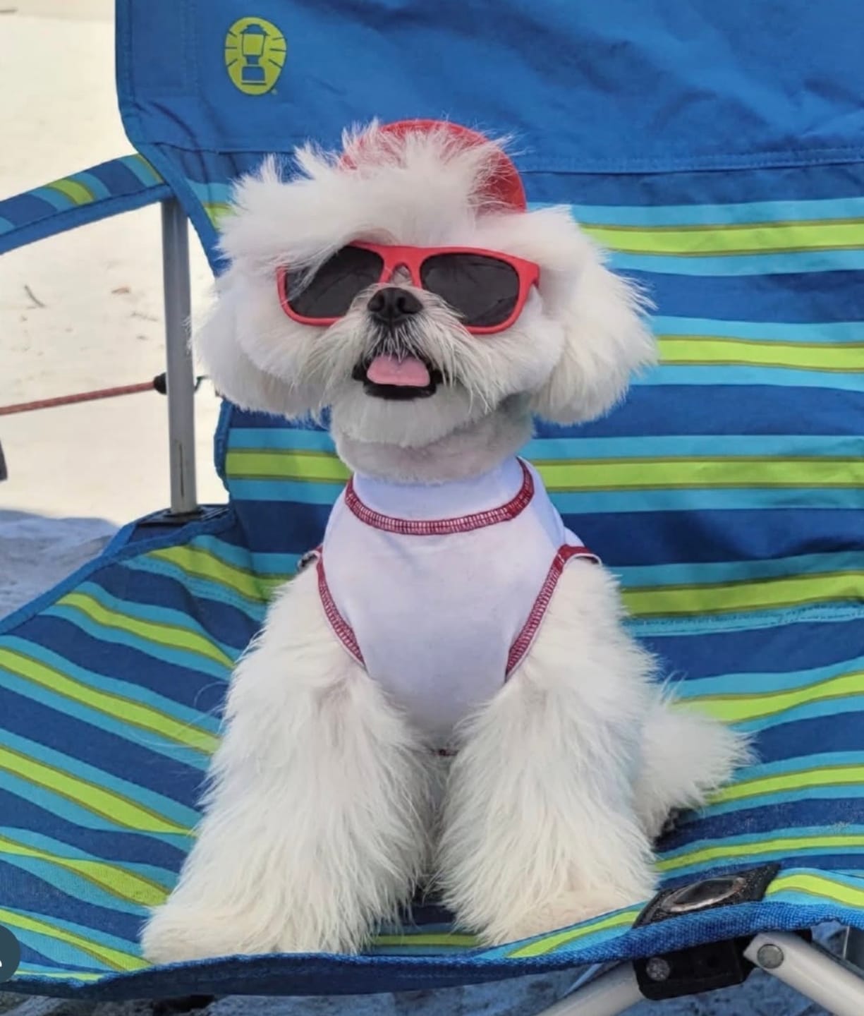 Customer photo review of Calming Sleeveless Cooling Sun Tee UPF 50+ White Sand