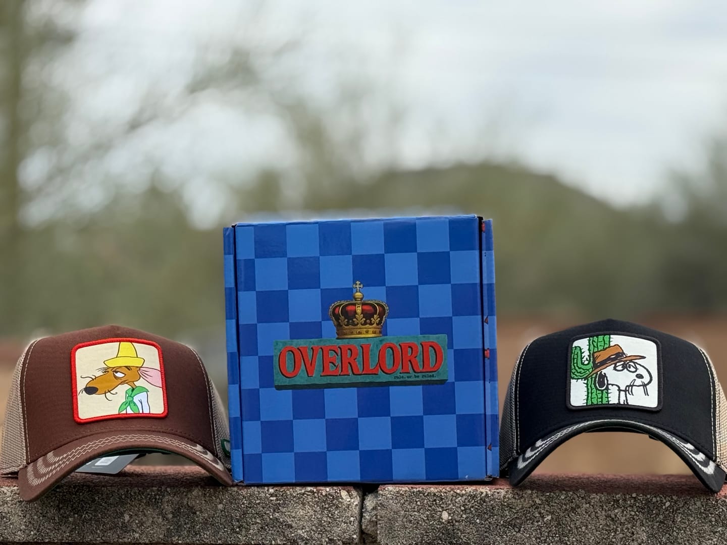 Customer photo review of OVERLORD X Looney Tunes: Slowpoke Rodriguez