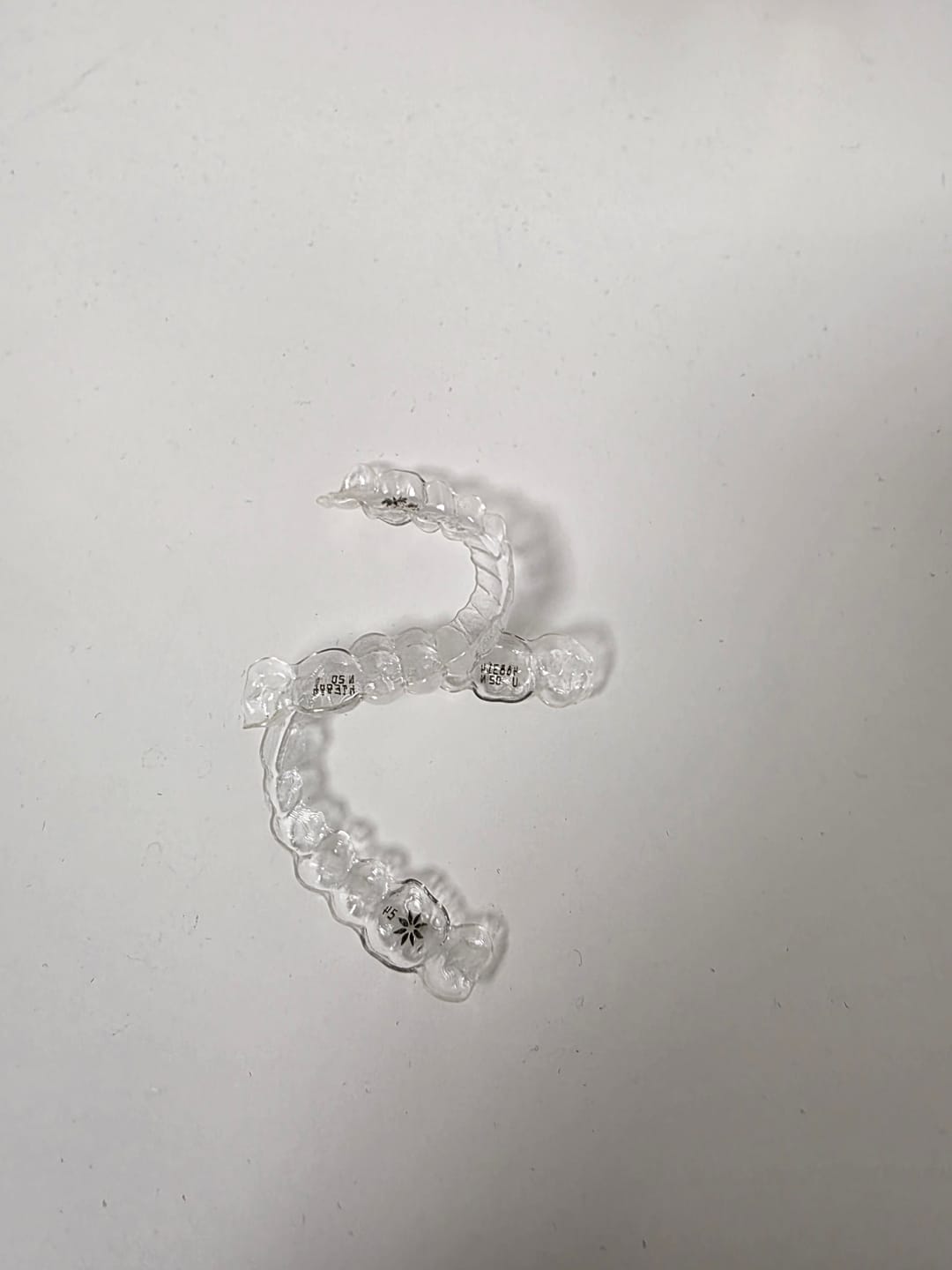 Customer photo review of Dental Pod Pro