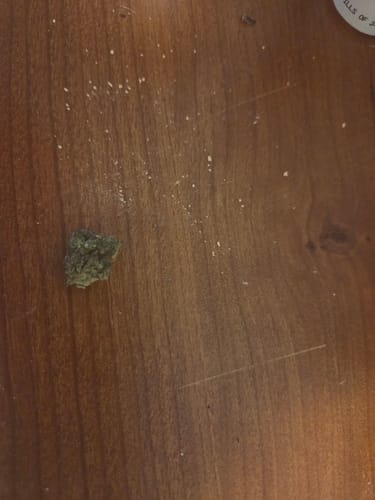 Customer photo review of Fruity Pebbles OG - 28 Grams - Indica