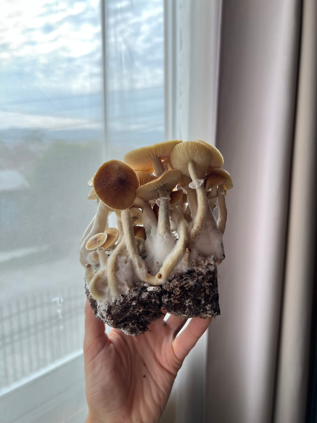 Customer photo review of Ayekan Box