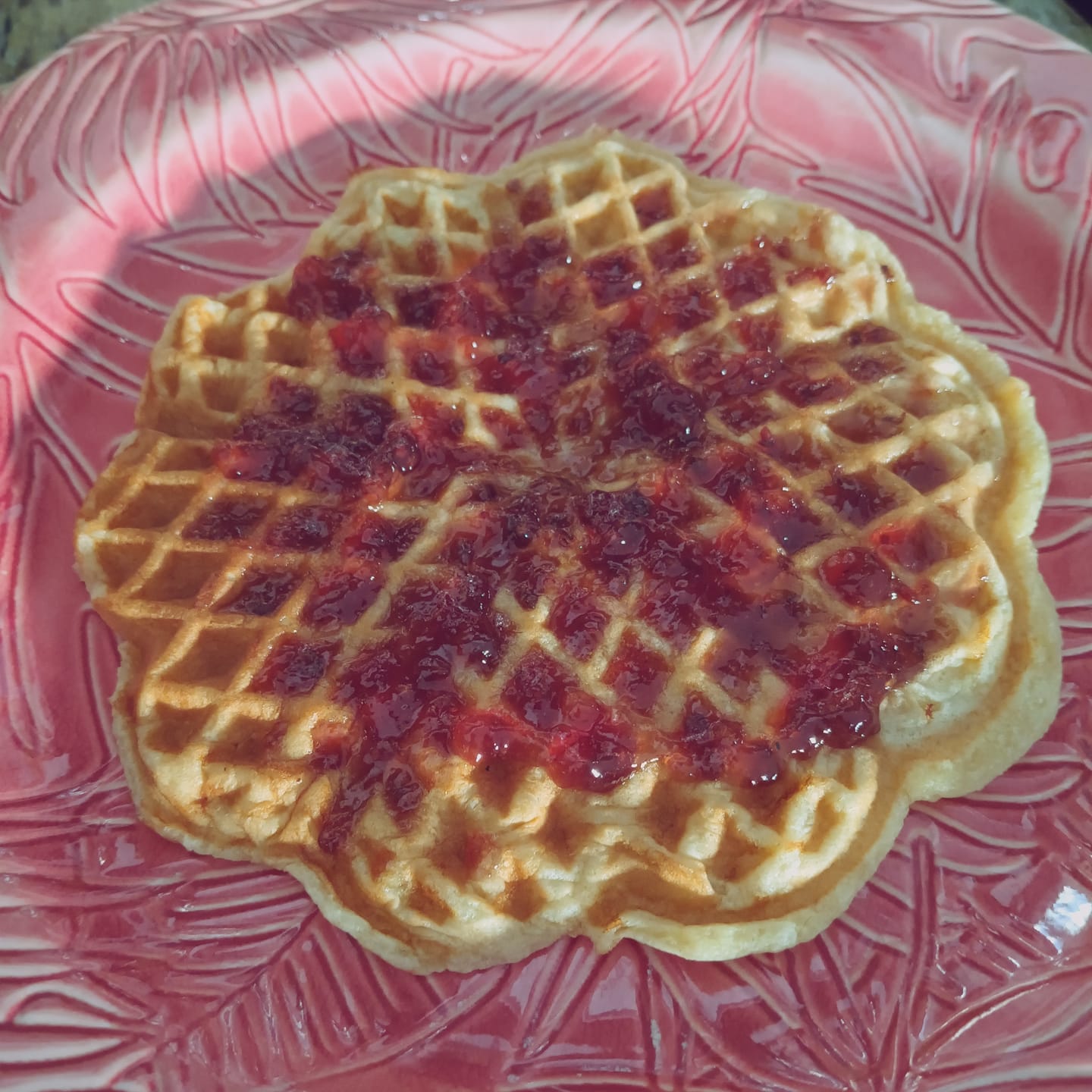Customer photo review of Vanilla Viking Waffles (Keto Friendly)
