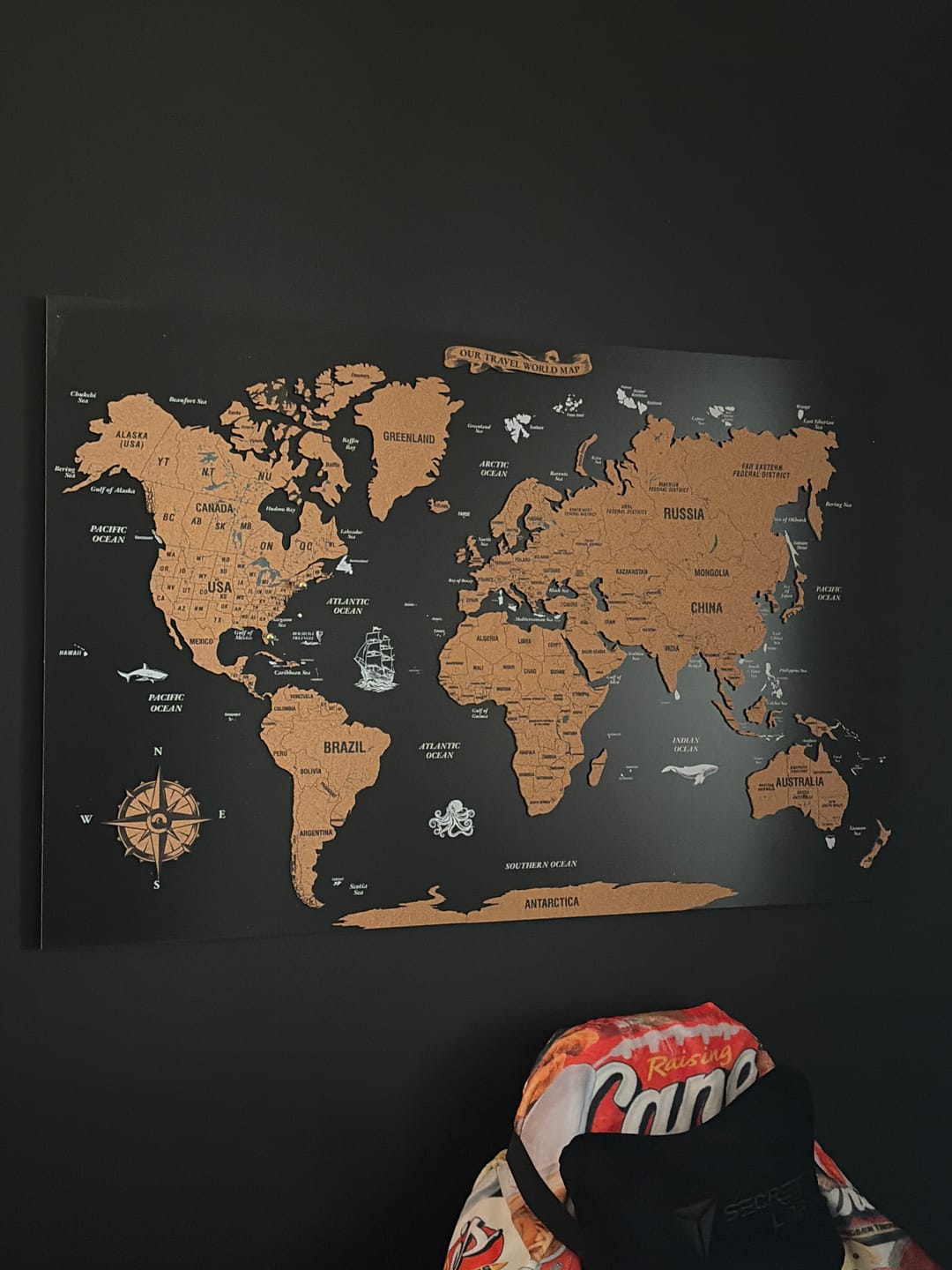Customer photo review of Cork Push Pin World Map - Unframed Travel Tracker Wall Art