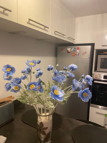 Customer photo review of Coquelicots - Bleu (10 tiges)