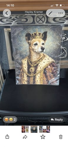 Customer photo review of Royal Highness - Custom Pet Portrait