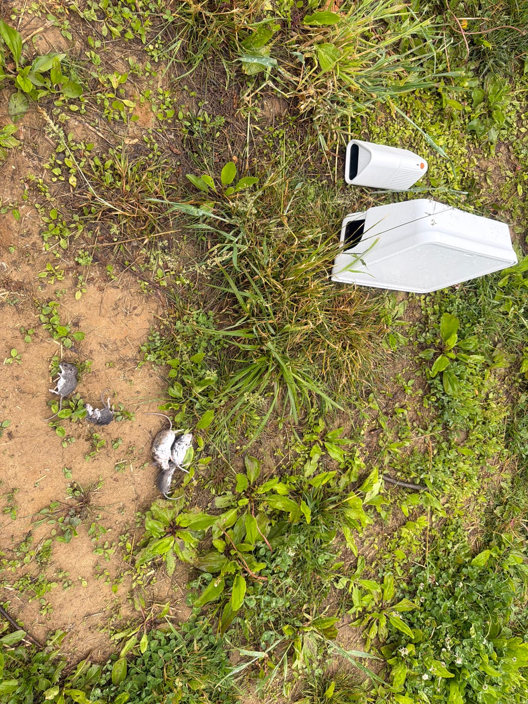 Customer photo review of A24 Professional Trapping Kit