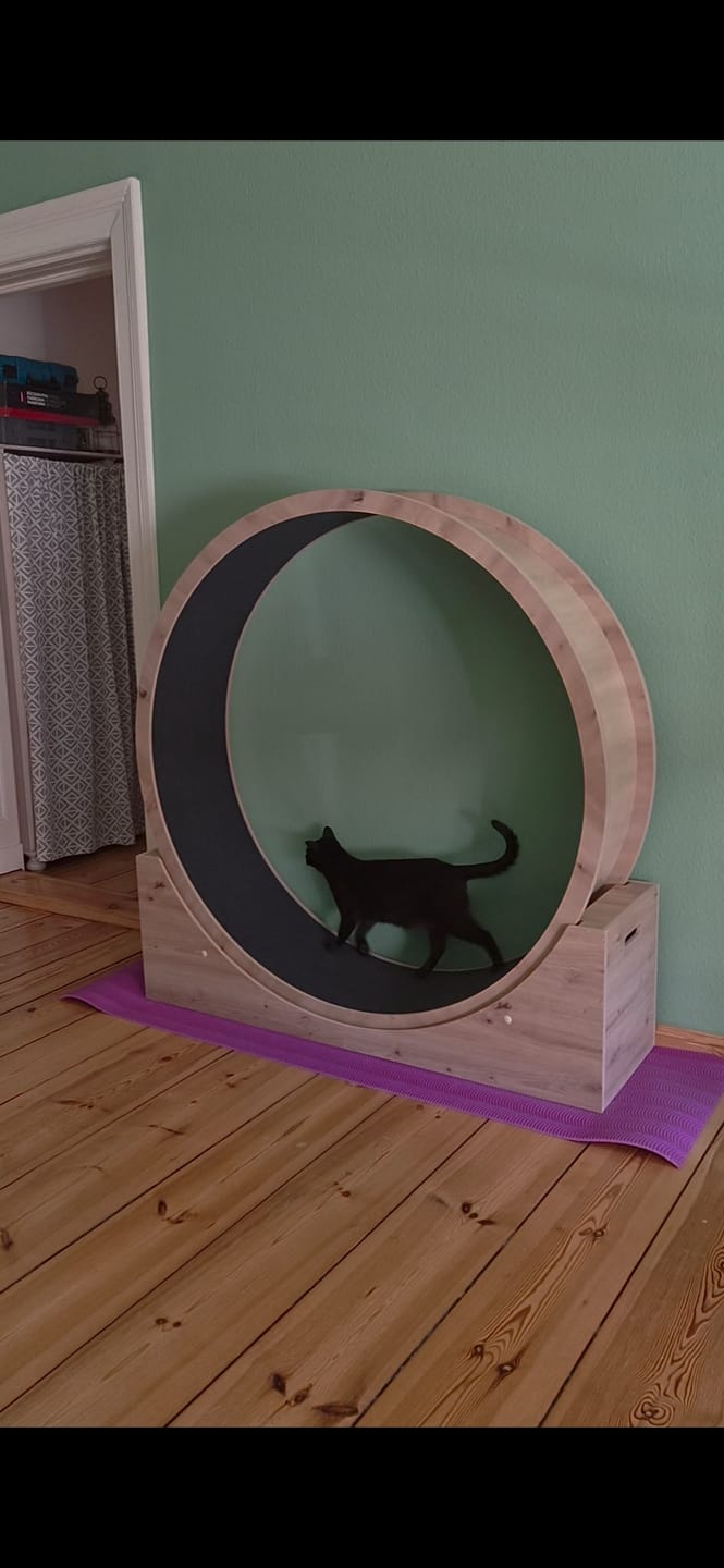 Customer photo review of Elmato Katzenlaufrad Simba