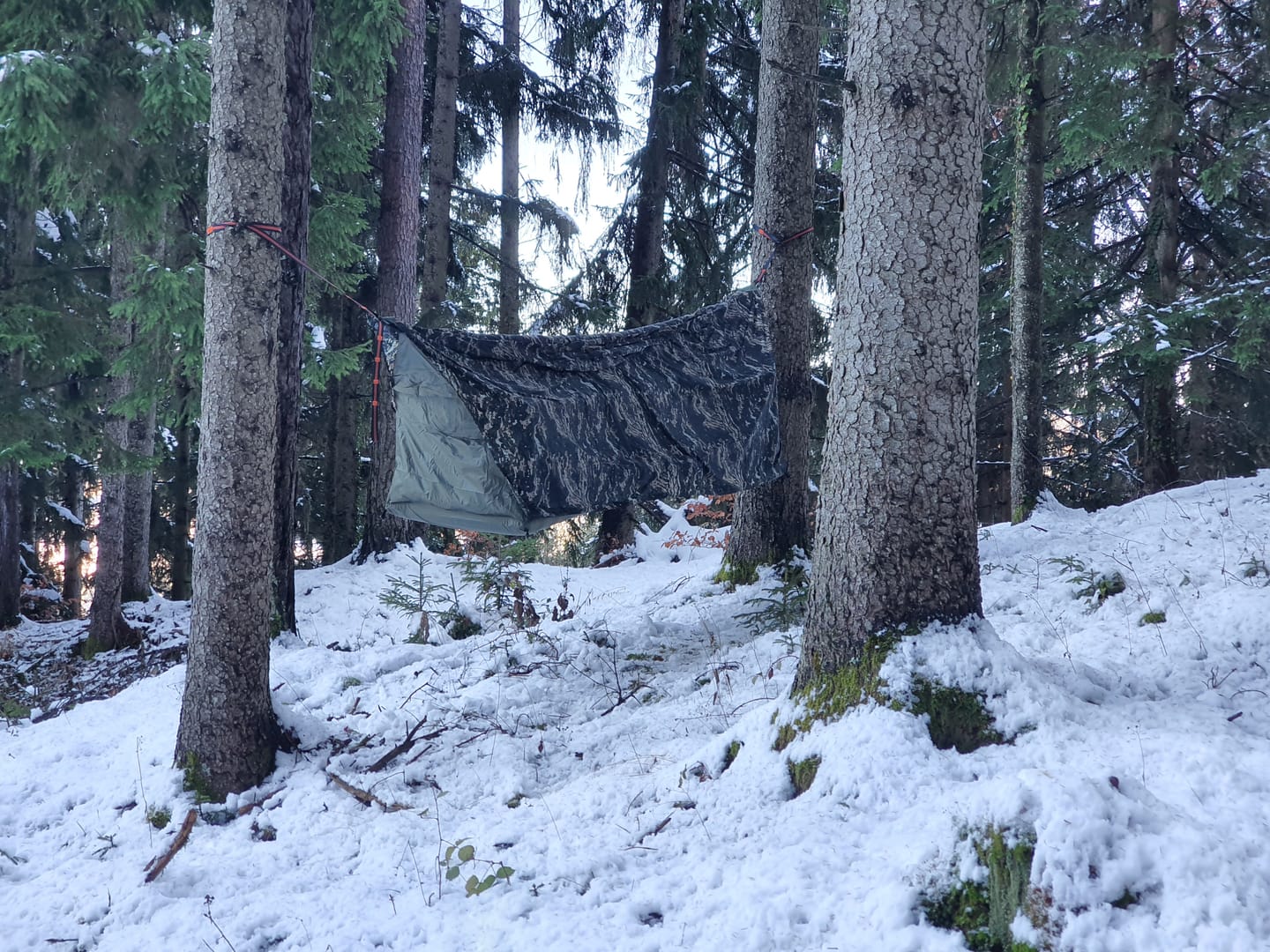 Customer photo review of Haven Tent Rainfly