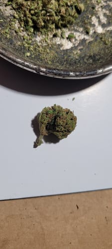 Customer photo review of Maui Wowie - Minis - 28 Grams - Sativa