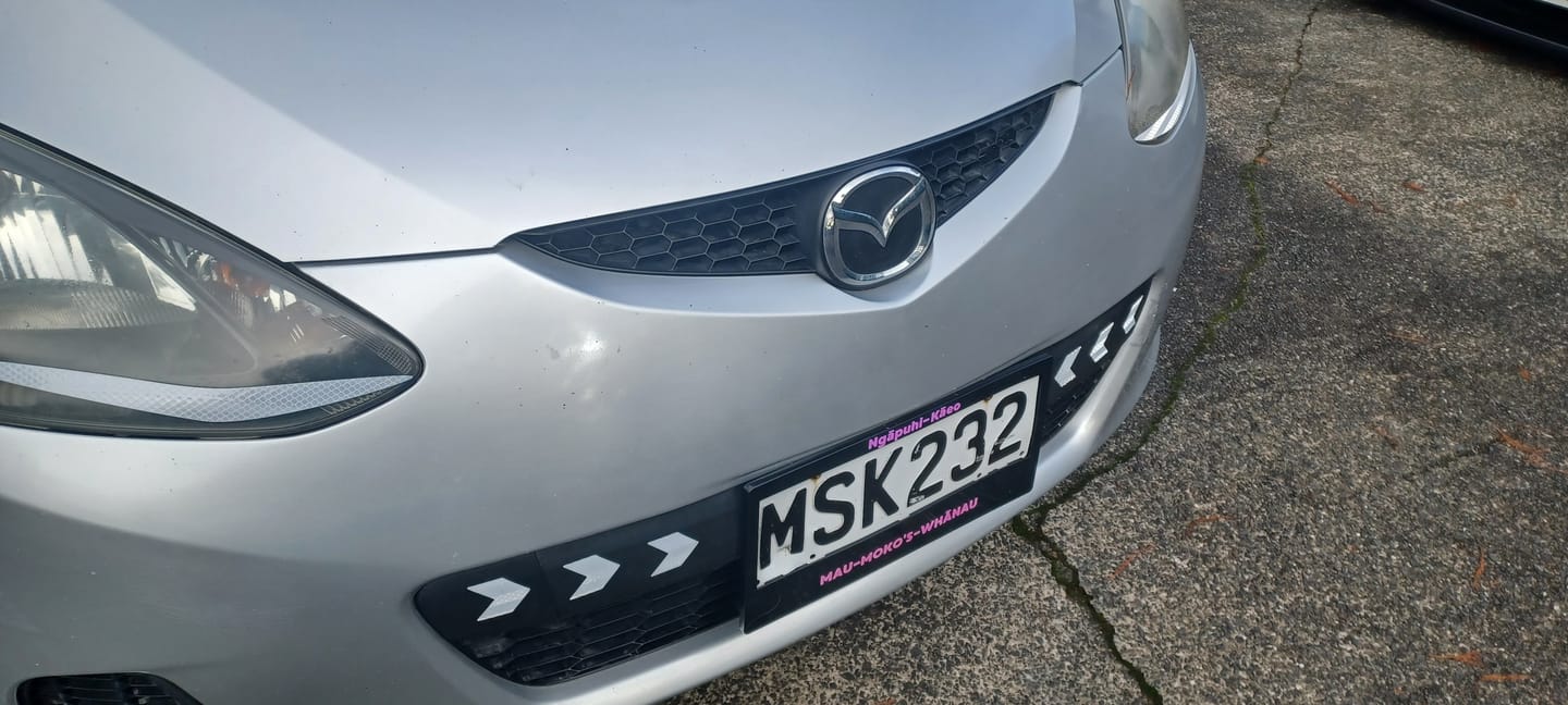Customer photo review of Custom Plate Frames