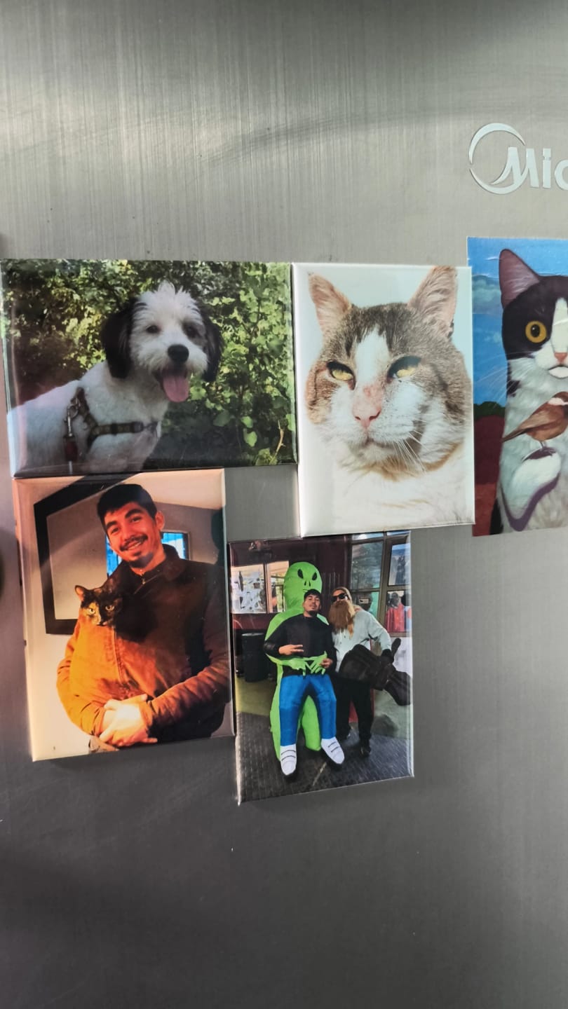 Customer photo review of 4 Imanes personalizados Rectangulares