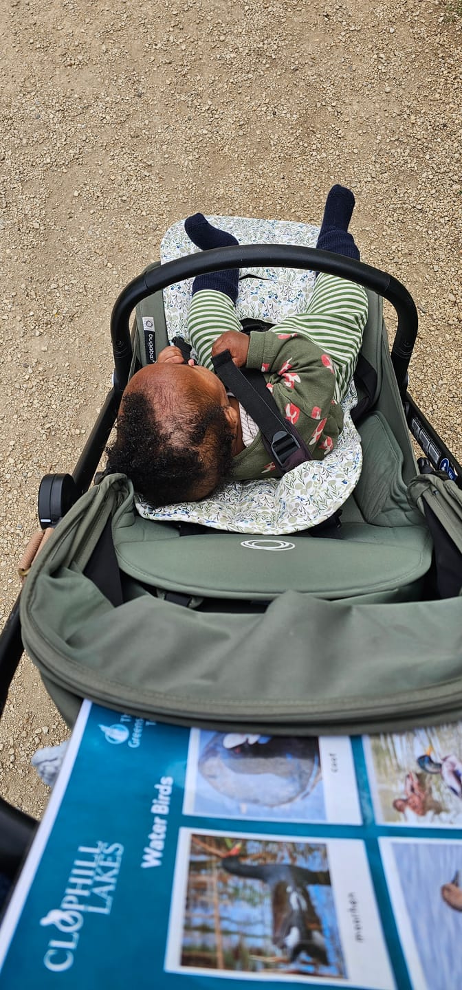 Customer photo review of Little Fox Organic T-Shirt & Jogger Playset