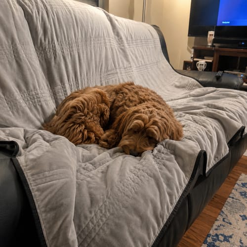 Customer photo review of NuvoDreams™ Cooling Blanket - 50% OFF + FREE SHIPPING LAST DAY PROMOTION!
