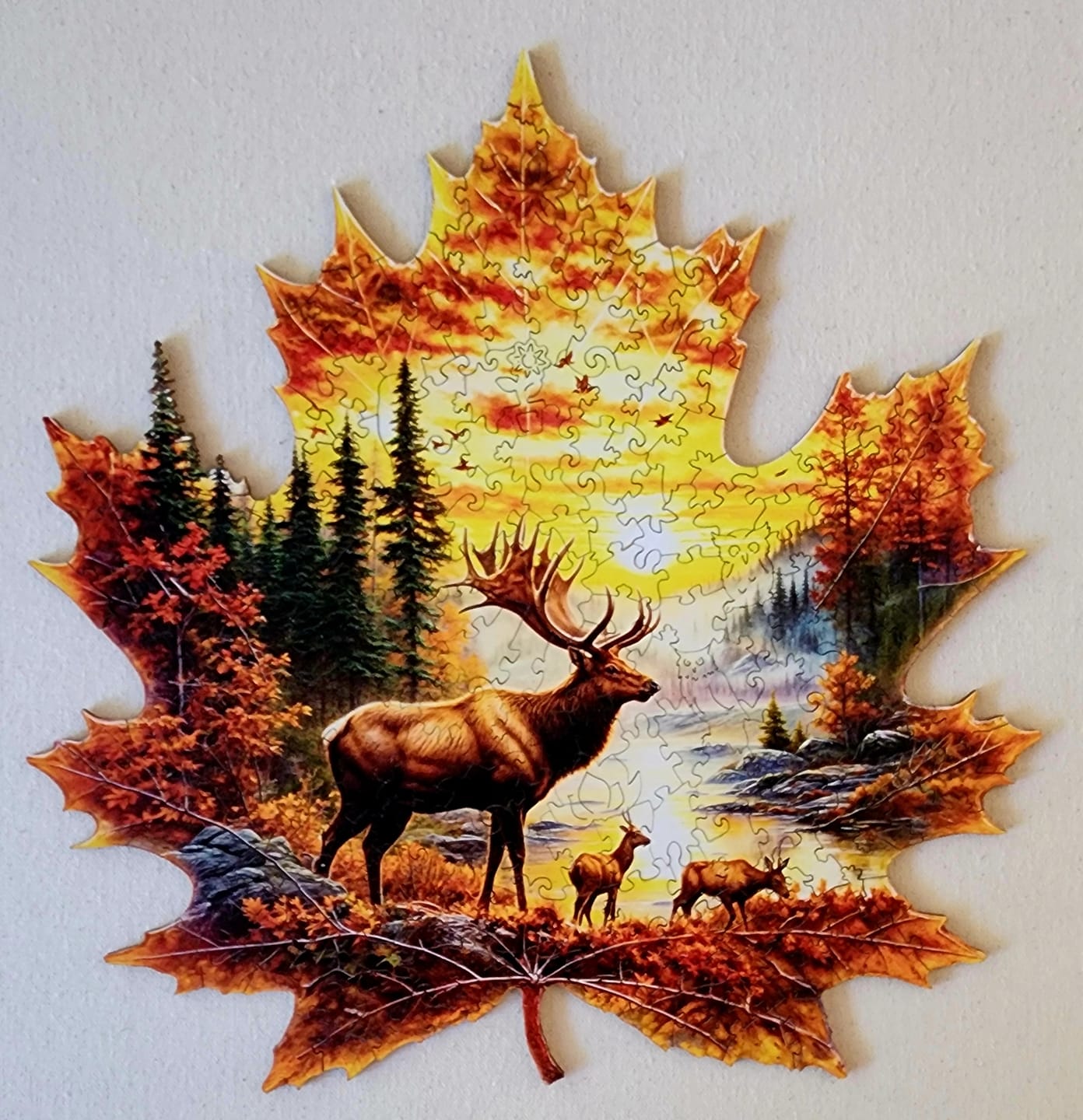 Customer photo review of Elk and maple leaves Wooden Jigsaw Puzzle