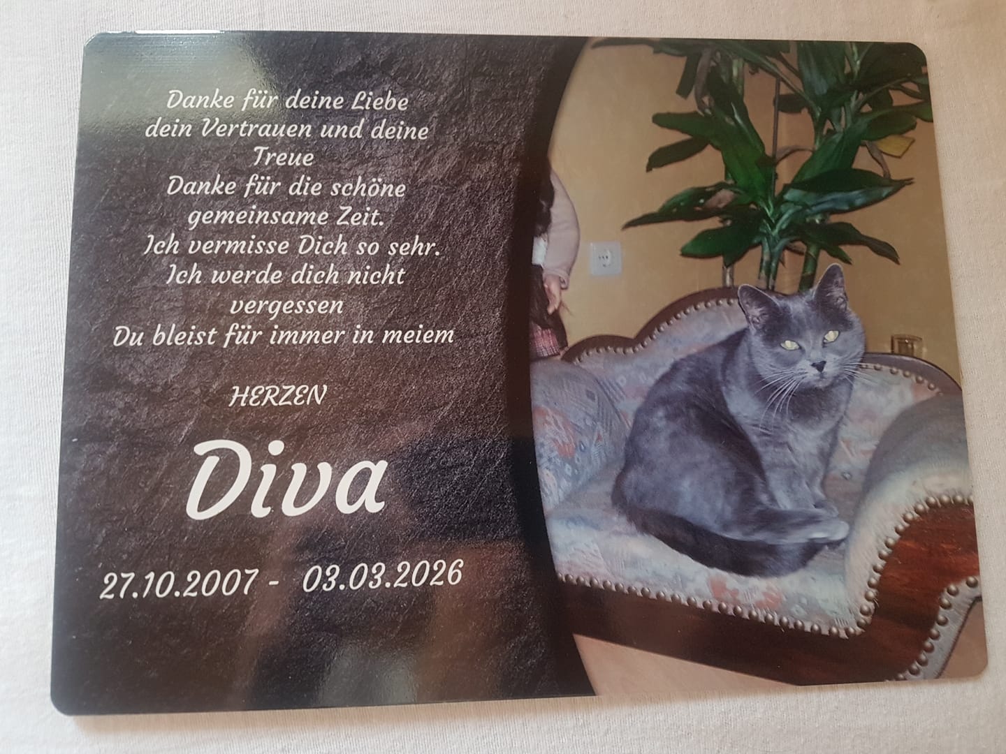 Customer photo review of Katzen Gedenktafel mit Foto & Spruch (UV- & Wetterfest)