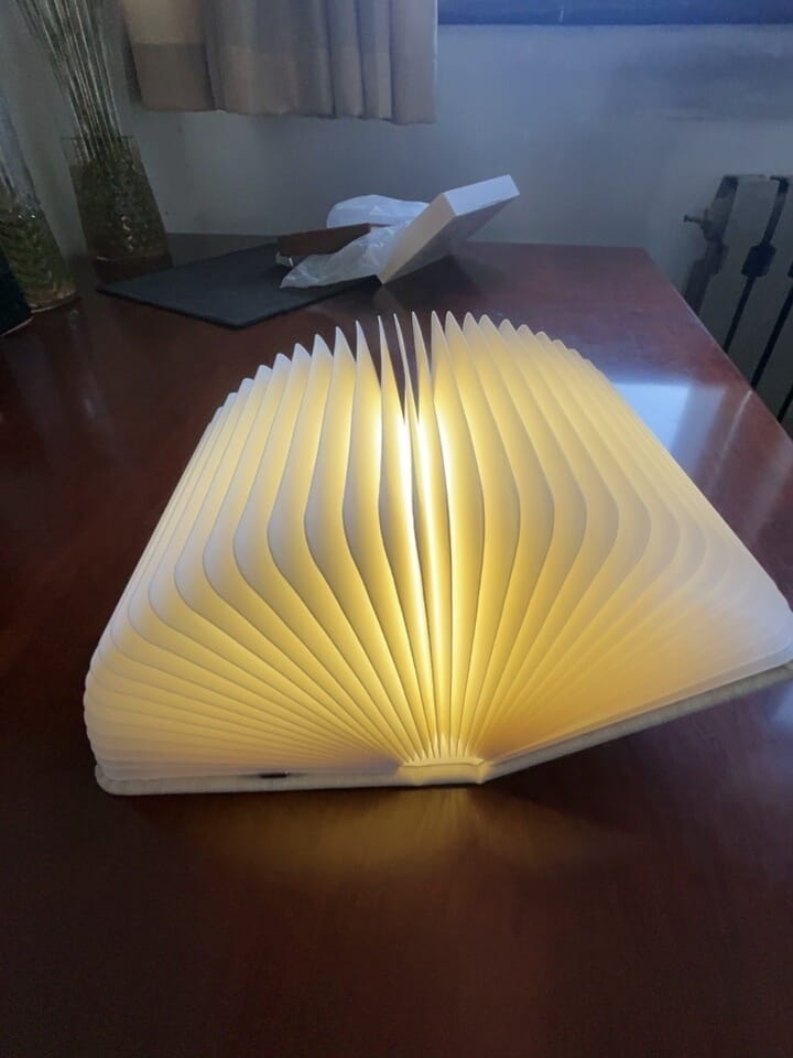 Customer photo review of Book lamp