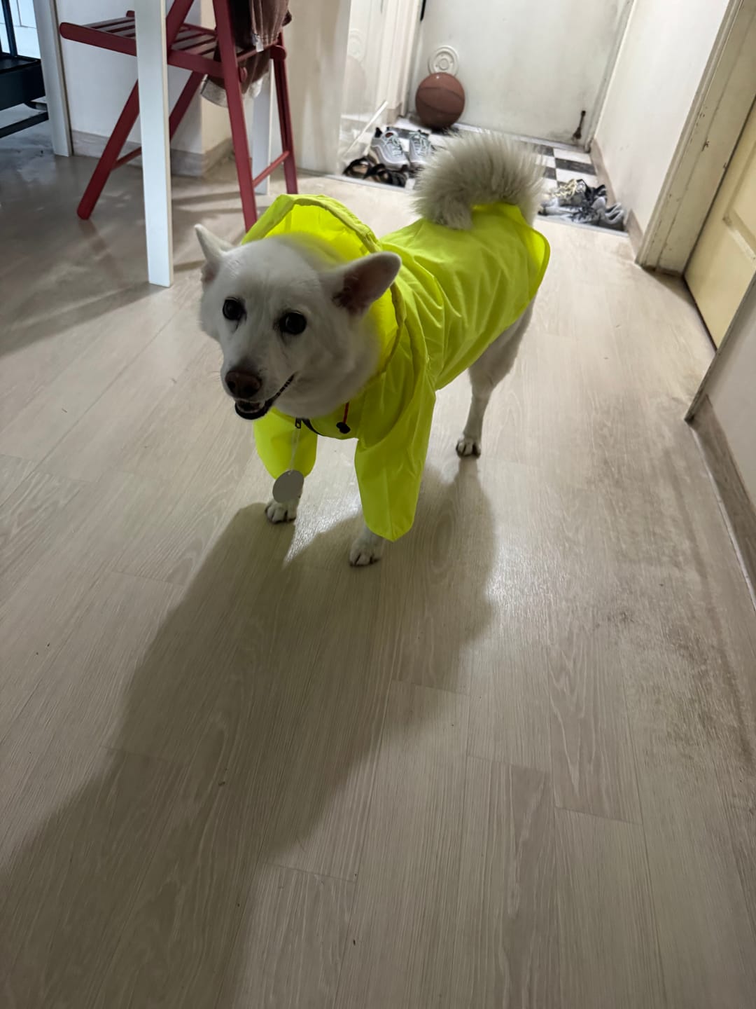 Customer photo review of Nylon Rainbreaker