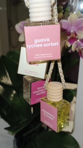 Customer photo review of Guava Lychee Sorbet Car Diffuser