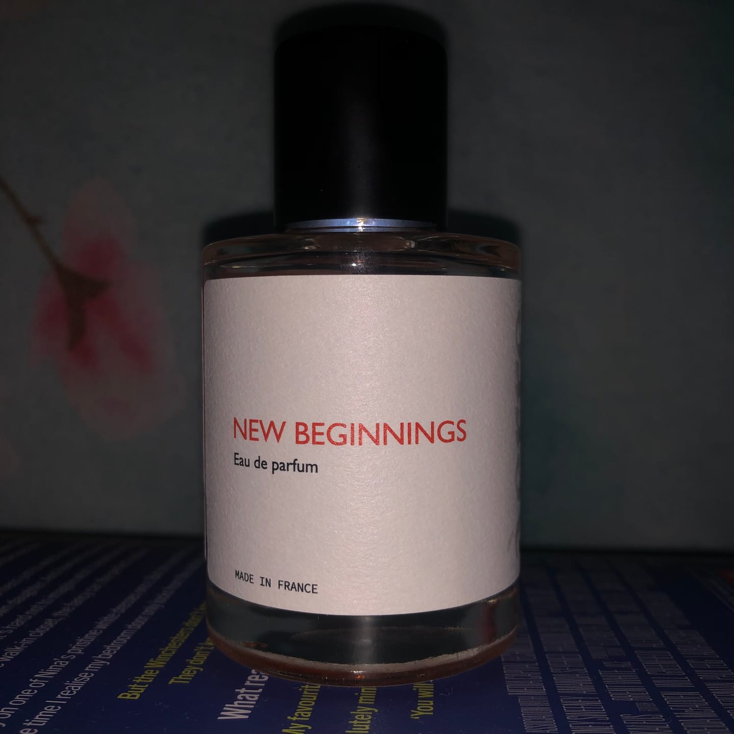 Customer photo review of New Beginnings