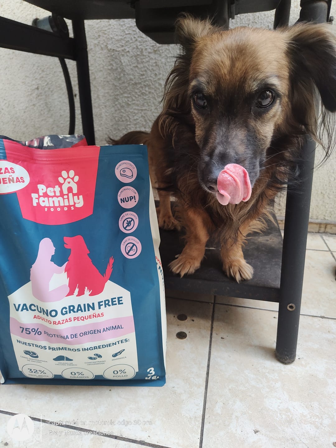 Customer photo review of PetFamily Foods Grain Free