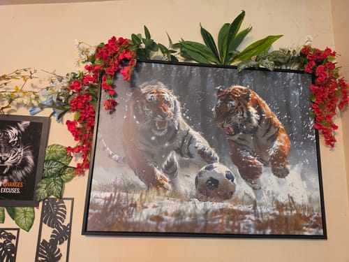 Customer photo review of Big Cat Soccer