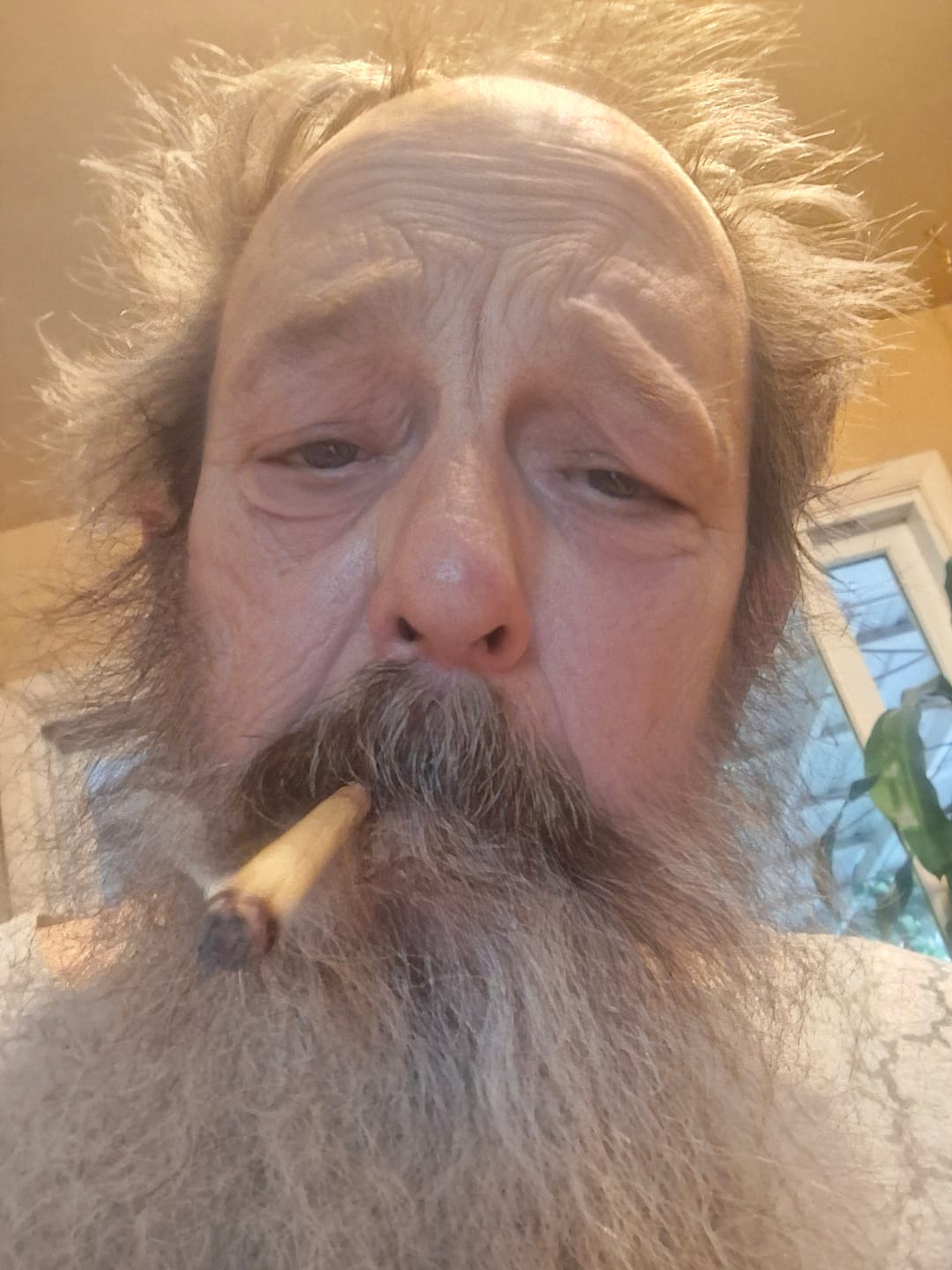 Customer photo review of Boutique Exotics - Jelly Roll - 2.5G Pre-Roll