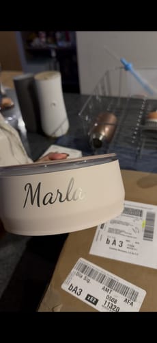 Customer photo review of Comedero Bebedero Antideslizante Stanley Everyday Pet Bowl | 710ML