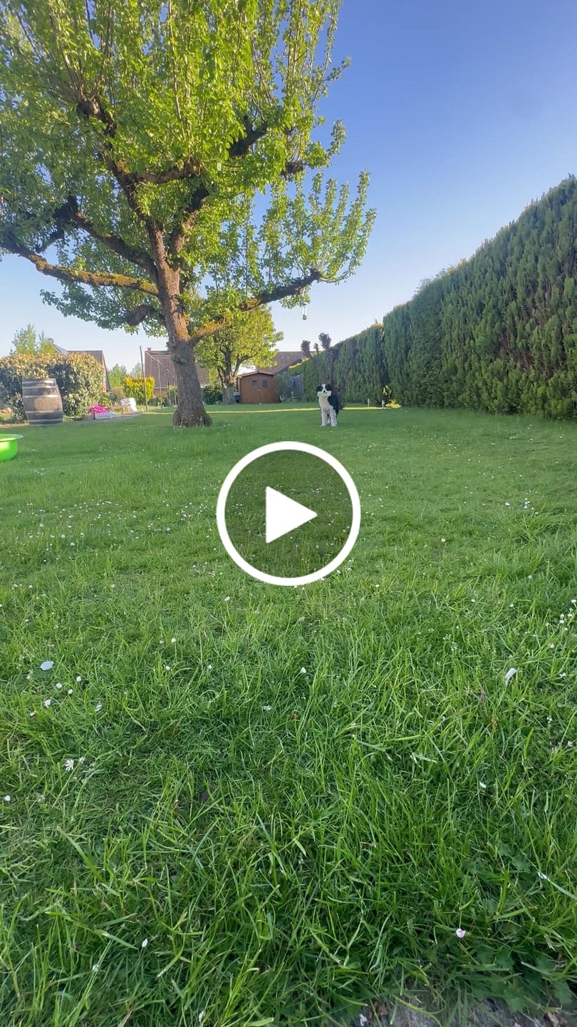 Customer video review of Wurmtest Plus Hund