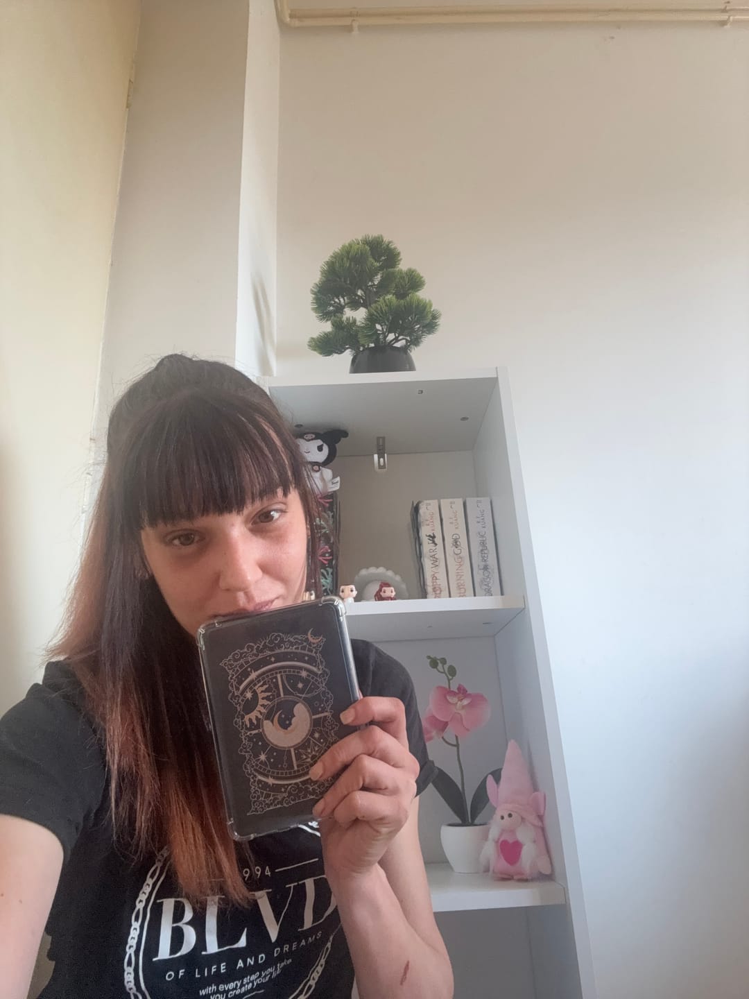 Customer photo review of Otherworldly eReader Sticker Insert - Black