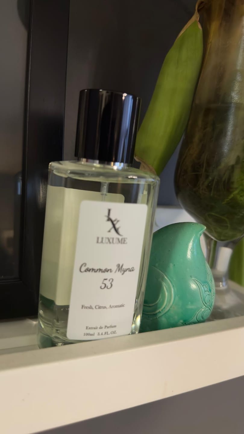 Customer photo review of #53 Common Myna | Inspired by LV Imagination