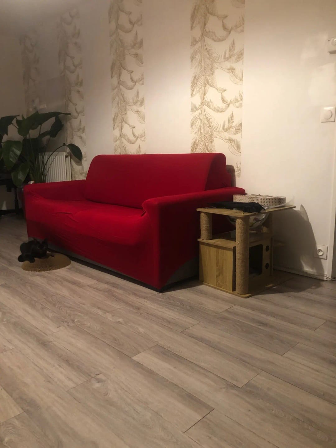Customer photo review of Housses de Canapé Imperméables