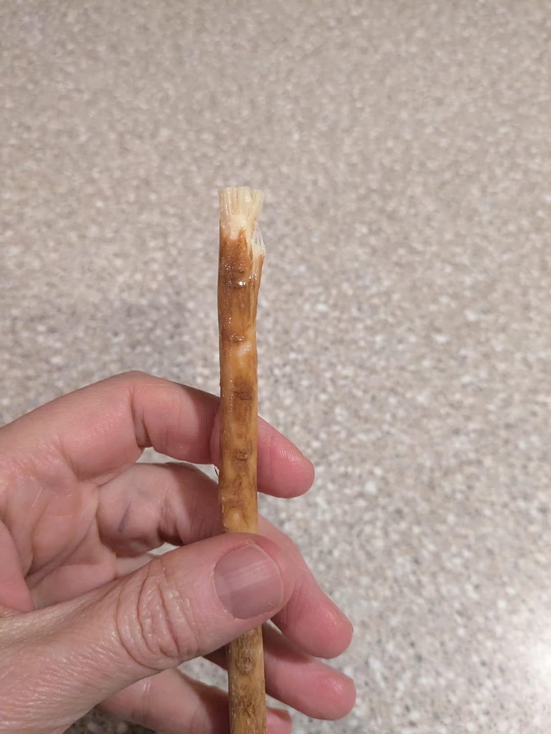Customer photo review of The Root™