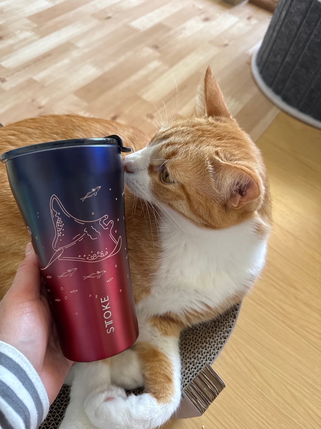 Customer photo review of オーシャンシリーズ　 第二弾