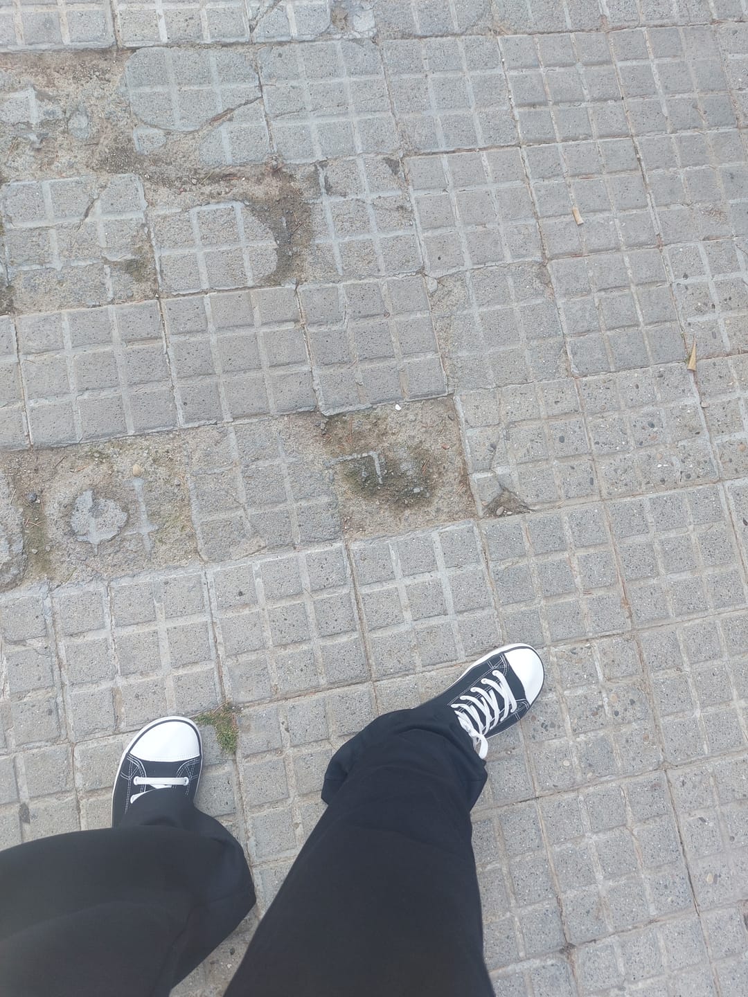 Customer photo review of Roam I - Zapatos Barefoot