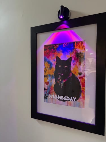 Customer photo review of Personalised Poster With Dog or Cat - Graffiti