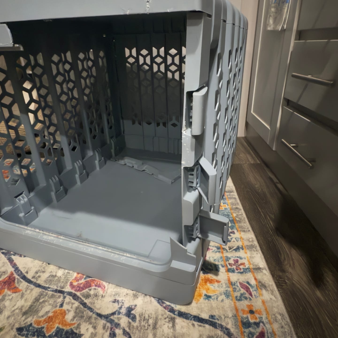 Customer photo review of PAWD®  Modern Collapsible Dog Crate
