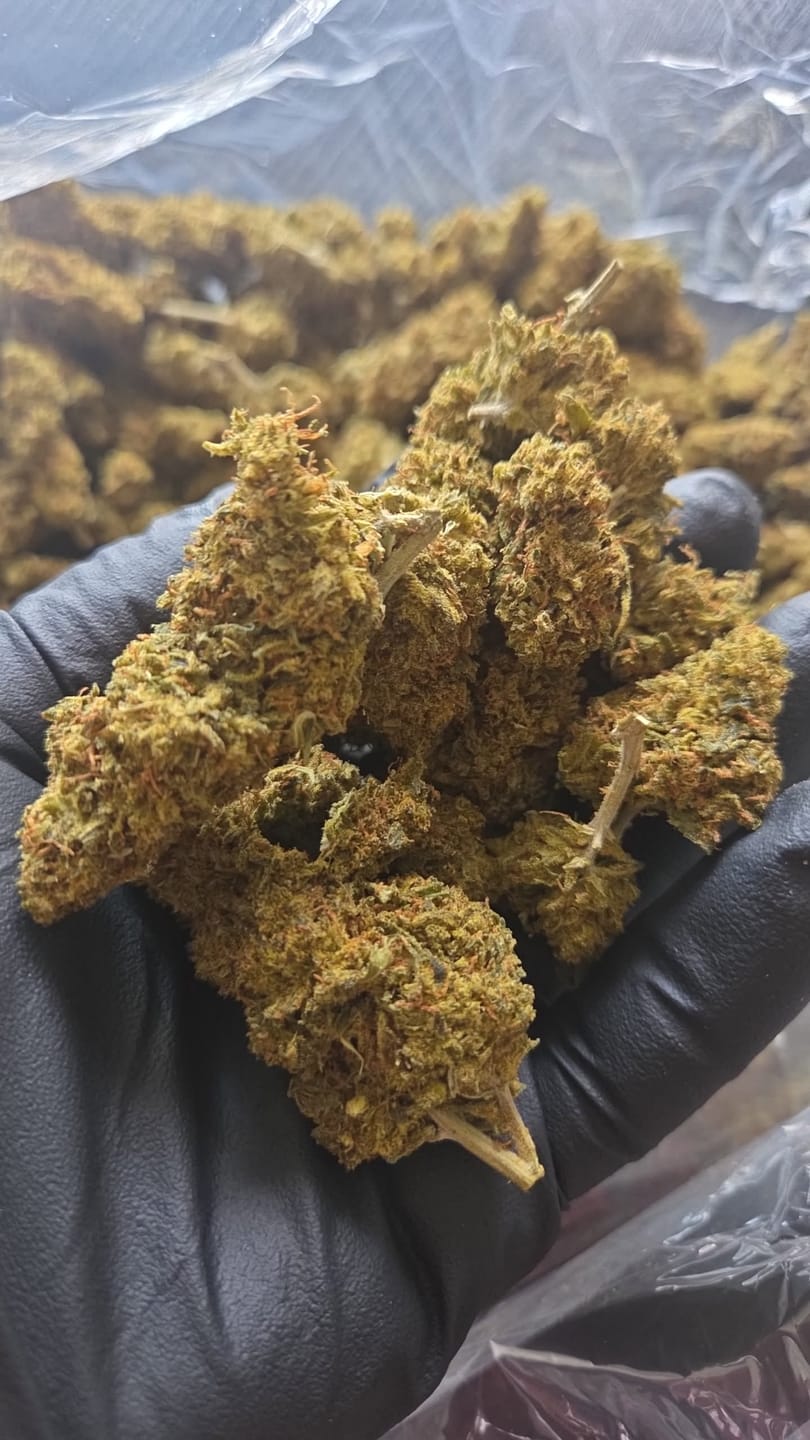 Customer photo review of Jack Herer - 14 Grams - Sativa